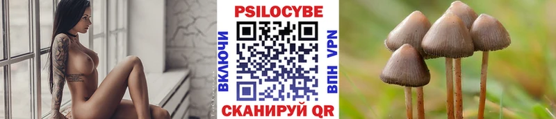 купить наркоту  маркетплейс состав  Псилоцибиновые грибы прущие грибы  Химки 